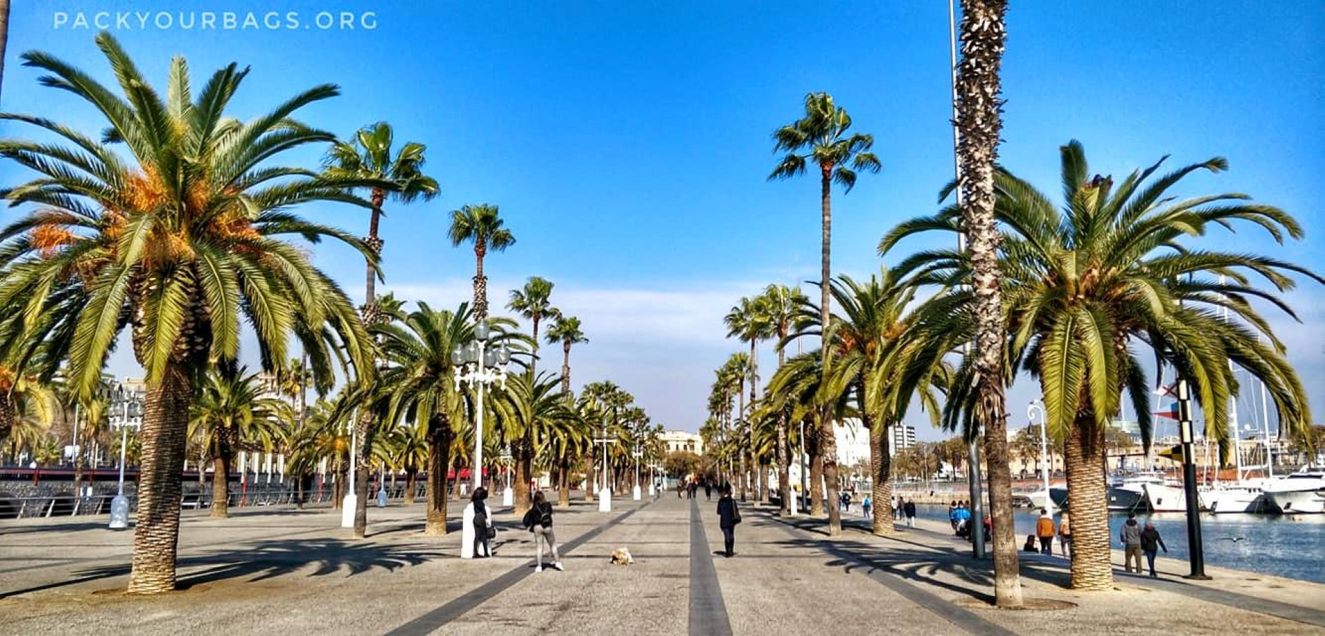 Five Reasons We Love Barcelona - Pack your bags